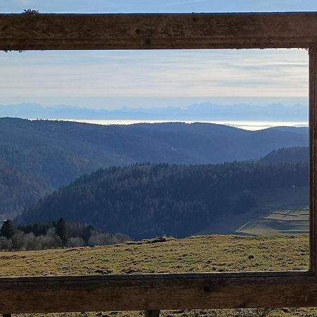 Sonnenstrahl Apartman Todtmoos Kültér fotó