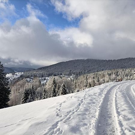 Sonnenstrahl Apartman Todtmoos Kültér fotó