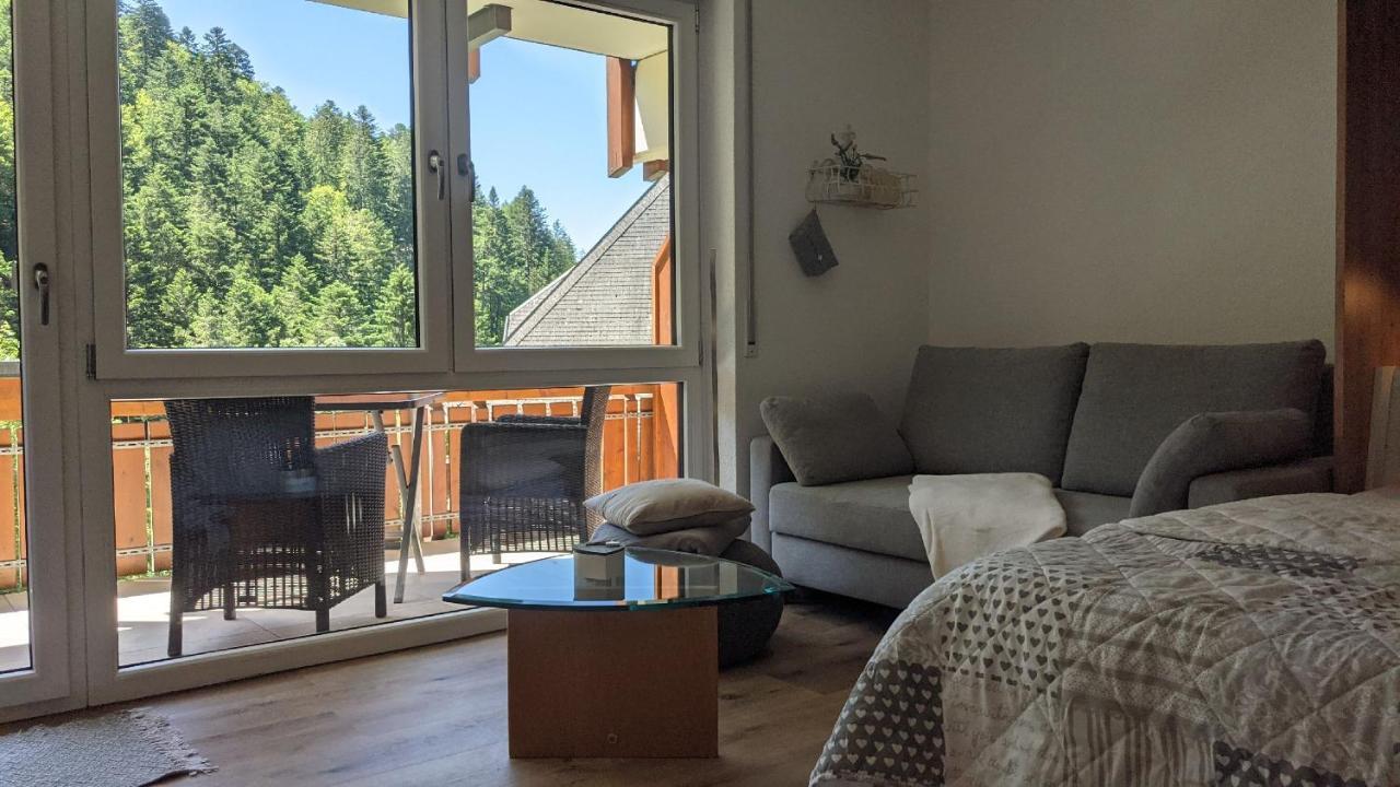 Sonnenstrahl Apartman Todtmoos Kültér fotó