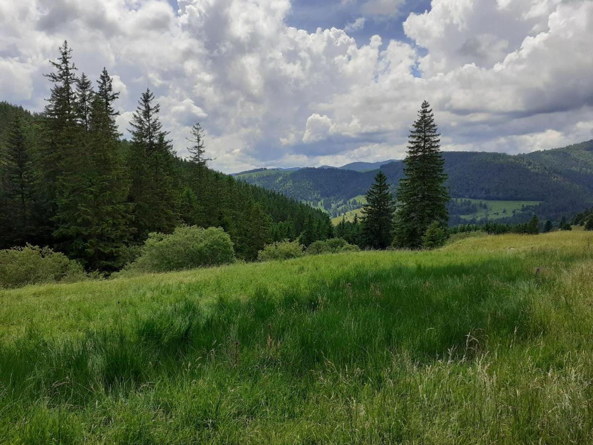 Sonnenstrahl Apartman Todtmoos Kültér fotó