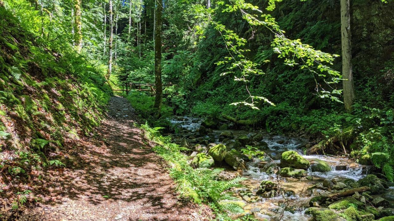 Sonnenstrahl Apartman Todtmoos Kültér fotó