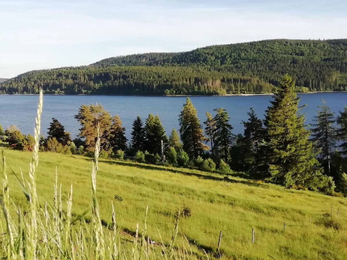 Sonnenstrahl Apartman Todtmoos Kültér fotó