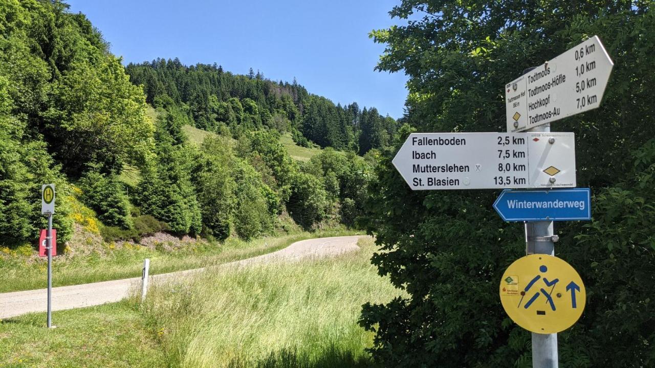 Sonnenstrahl Apartman Todtmoos Kültér fotó