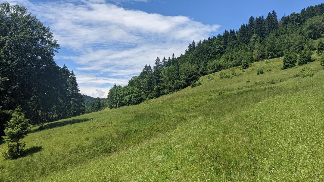 Sonnenstrahl Apartman Todtmoos Kültér fotó
